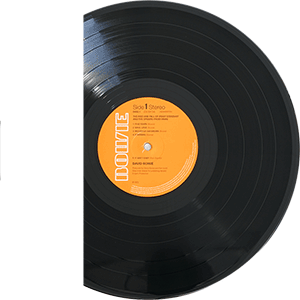 David Bowie "Ziggy Stardust" - View 3