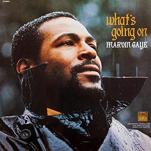 Marvin Gaye "What's Going On" - View 2