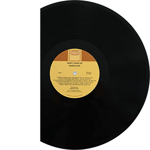Marvin Gaye "What's Going On" - View 3